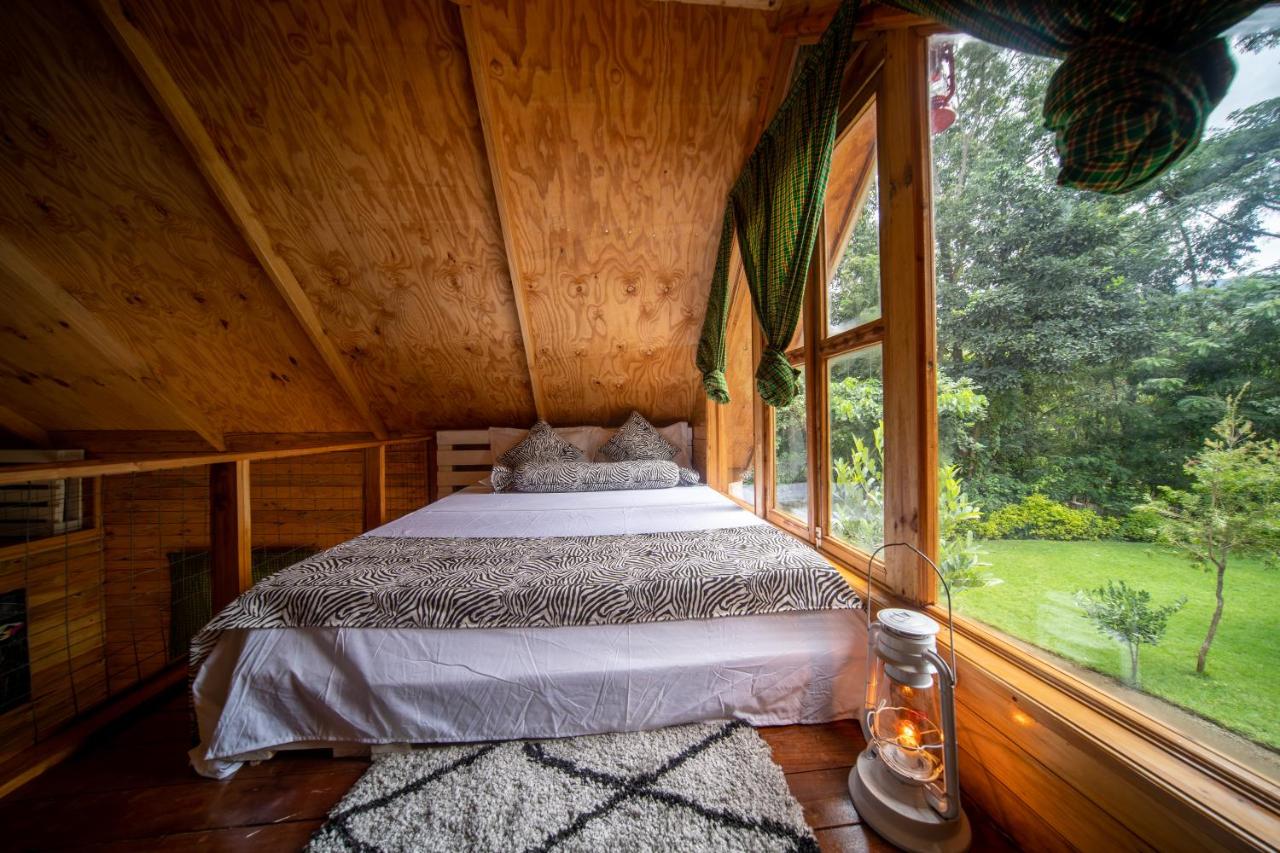 Banana Farm Eco Hostel