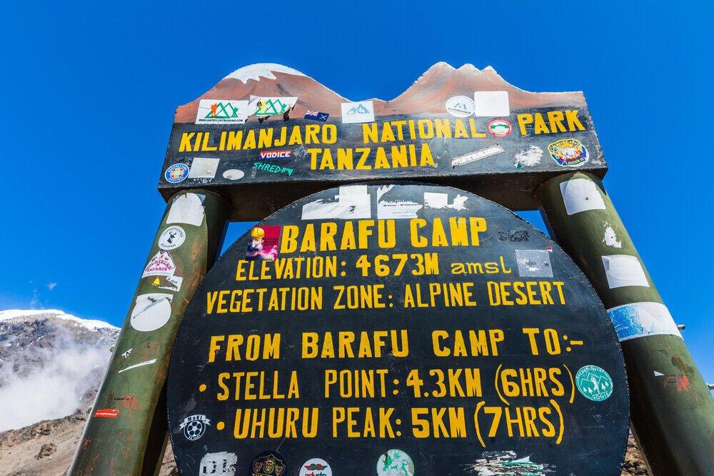 Kilimanjaro 8 Days Lemosho Route