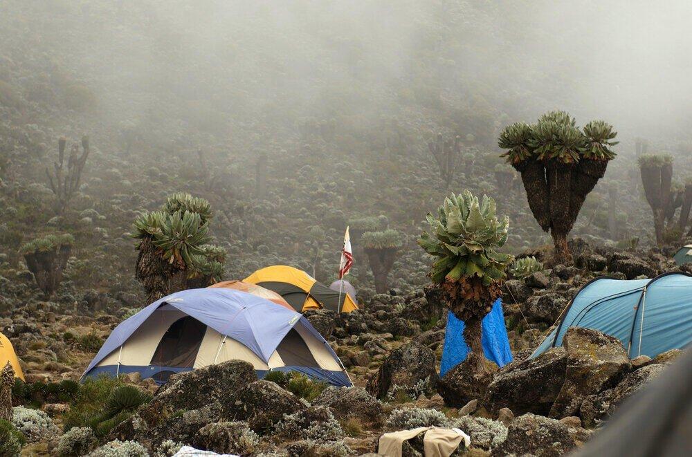 7 Days Kilimanjaro Machame Route